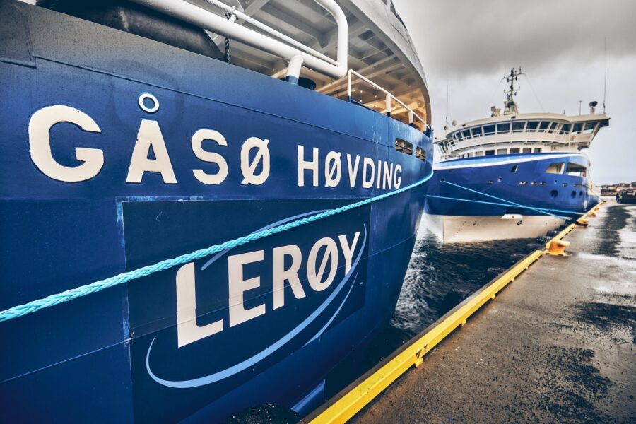 Gåsø Høvding