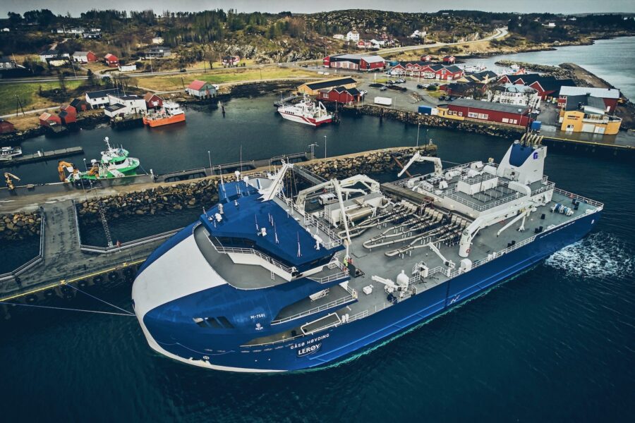 Gåsø Høvding